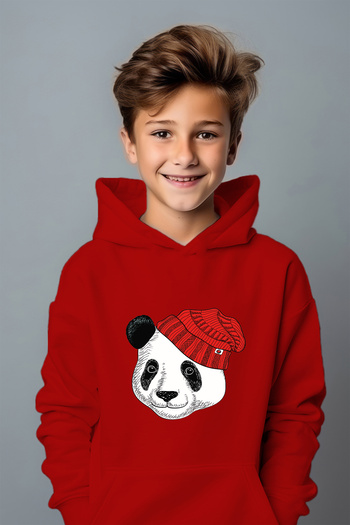ADA BEBEK ÇOCUK Φούτερ με στάμπα Panda με καπέλο για αγόρι