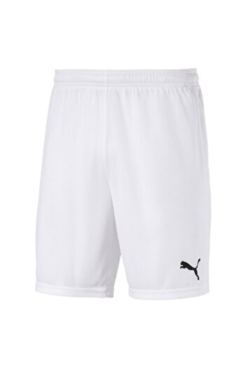 Puma Men's Shorts70426204