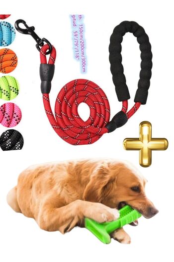 tosbai 1.2X150 cm Medium Dog Walking and Training Collar - Scratcher Cleaner