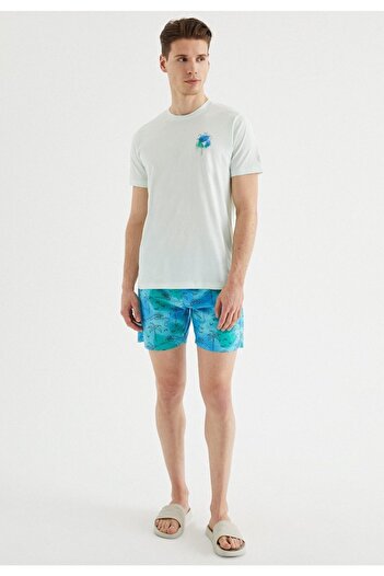 WESTMARK LONDON Erkek Mavi Regular Fit Bisiklet Yaka Baskılı T-shirt Palm