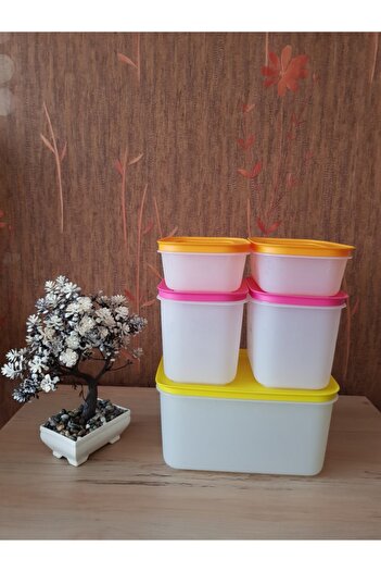 Tupperware Alaska Set of 5 (Refrigerator and Freezer Storage Container)