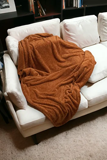 Skhome Wellsoft Single TV Blanket (btnytv-04-Tan)