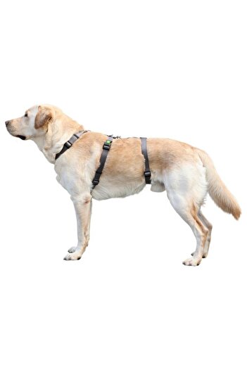 KERBL Dog Back Collar Anti-Escape 48cm - 70cm