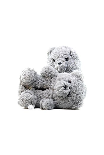 Twigy Teddy Women's Animal Slippers (36-41) 22k T-teddy Z