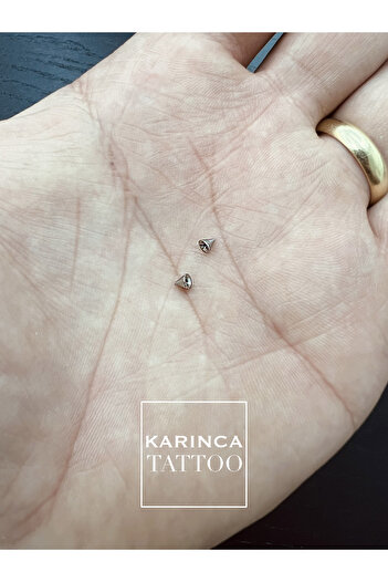 Karınca Piercing 1.2 mm Piercingler için 2 adet Sivri Uç Spike Piercing Topu Seti (Karınca Tattoo)