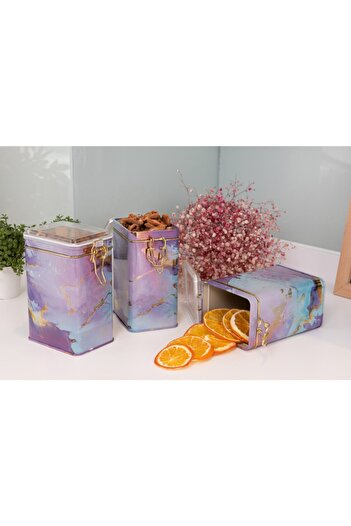 EVLE Efb21f0 Rectangular Lockable Storage Container 75x100x150 Set of 3, Liquid Purple