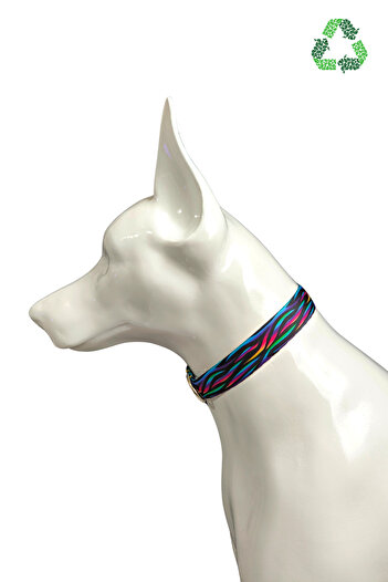 Pet Trendy Shop Colorful Soft Dog Collar