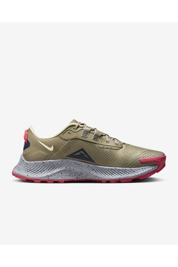 Nike Pegasus Trail 3 Professional Running Shoes NkDA8697-301