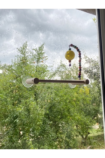 ADAPATİ PET Glass Perch with Bird Toy (TOP COLOR SHIPS FROM STOCK CASE)