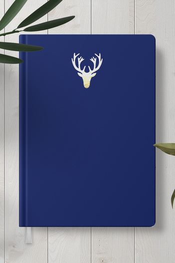Copyder Gold Gilded Hard Cover Notebook Planner 256 Sheets
