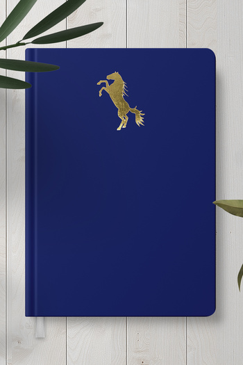 Copyder Gold Gilded Hard Cover Notebook Planner 256 Sheets