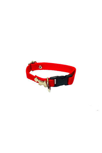 Dino Pet Butik Aksesuar Dog figure neck collar