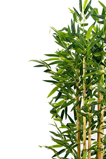 YAPAY ÇİÇEKÇİNİZ 5 Gövdeli Yoğun Yapraklı 120 Cm Yapay Bambu Ağacı