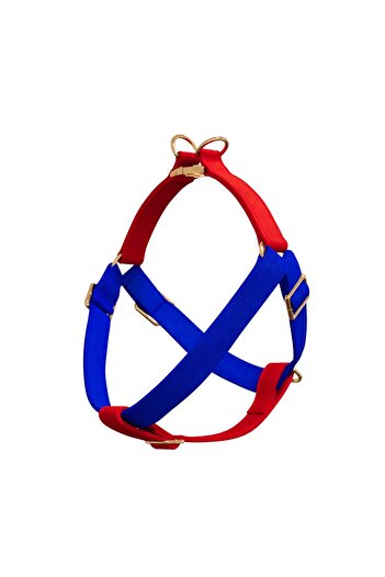 GoPawGo Charmed Sirius Dog Collar