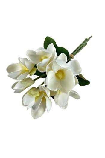 Çemrek Süs Parti Floare de magnolie umedă 1 buchet