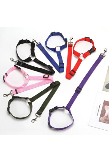 RAIKOU Dog Seat Belt & Collar