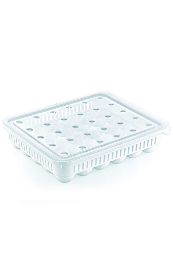 HOBBY LİFE EGGSTORER 30-Piece Egg Storage Container