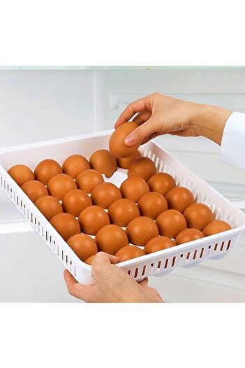 HOBBY LİFE EGGSTORER 30-Piece Egg Storage Container