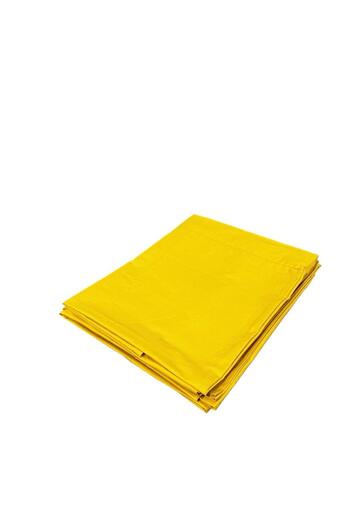 Estelica Single Sheet And Pillow 150x240220129