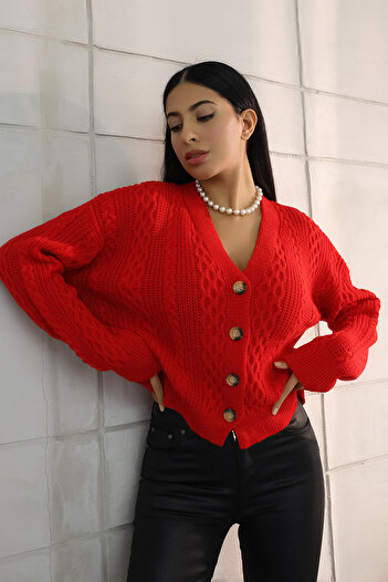ALCHON V-neck Long Sleeve Hair Braided Four Button Standard Size Winter Knitwear Cardigan