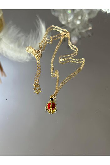 Uno Di Famiglia Ladybug Necklace, Figured Necklace, Gift Jewelry, Nature Themed Necklace 1stQUALITY
