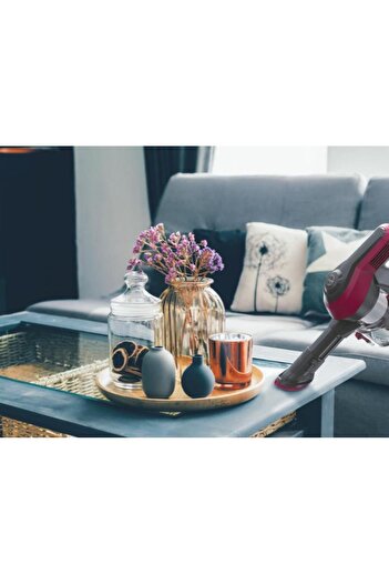 Hoover HF110P 011 HF1 PETS  Single Cyclone Dikey Şarjlı Süpürge
