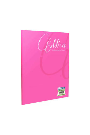 Gıpta GIPTA MICA PLASTIC COVER NOTEBOOK A4 LIGATAT 80 FOI (1707)