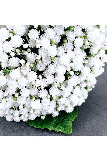 MD Aspiz Flowers Artificial Luxury gypsophila bridal bouquet Gypsophila flower plastic _ivy Tree Rose dry Blossom home new year