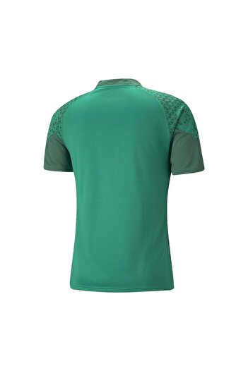 Puma 657984 Teamcup Training Jersey Green
