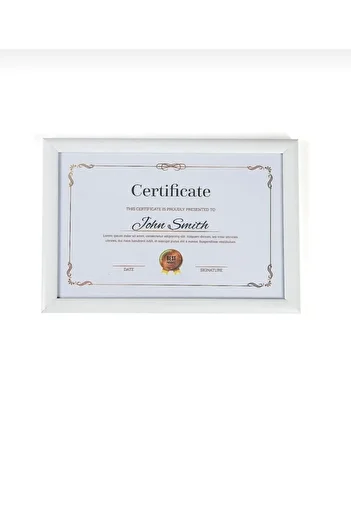 Serita 21x30 Photo Picture Poster Certificate Frame