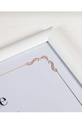 Serita 21x30 Photo Picture Poster Certificate Frame