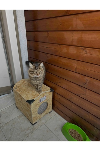 zeki möble Kedi Yuvası Evi Kurulu Sekilde Teslim Kaskolu Garantilidir.
