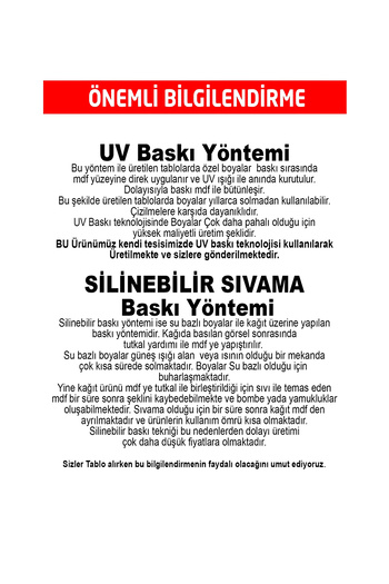 Fi Design Tablo Duvar Tabloları Tablo Modelleri Duvar Tablosu Dekorize Dekoratif Tablo 12 Parça MDF Tablo