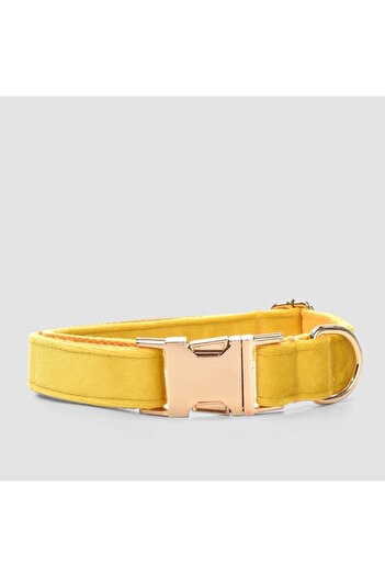 Pawsim Yellow Velvet - Adjustable Dog Collar and Walking Strap Set with Metal Buckle
