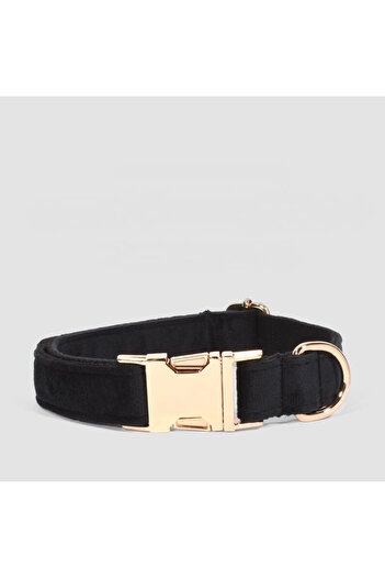Pawsim Black Velvet Dog Collar and Walking Strap Set, Adjustable Dog Collar.