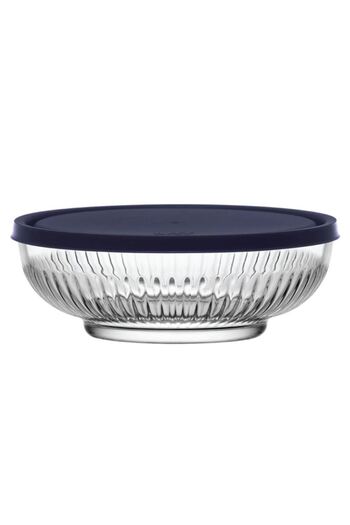 LAV Nemostore Tokyo Navy Blue 880 Cc Storage Container