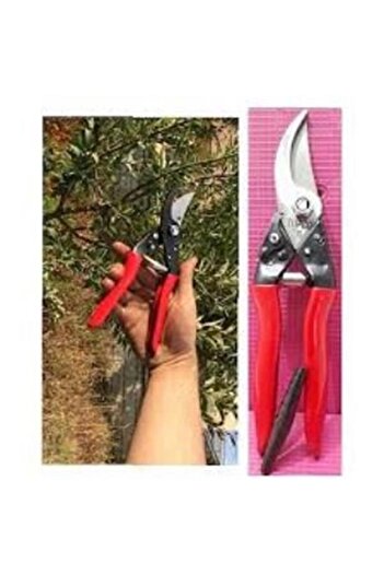 Ta-Qe Turco Washing Scissors (T7)