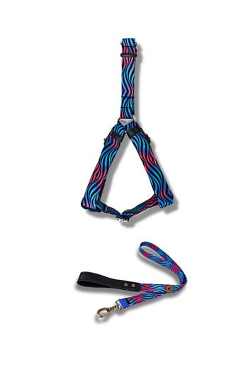 UTDpet Turquoise Dog Collar and Travel Dispatch Strap Set