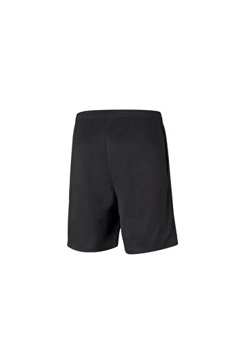Puma 657336 Teamrıse Training Shorts