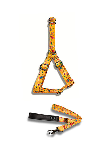 UTDpet Yellowdoggy Dog Collar and Travel Dispatch Strap Set