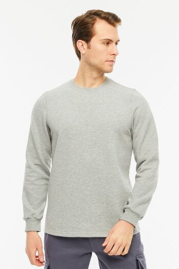 Uniprom Sweatshirt Crew Neck Fleece Inside 3 Thread Cotton Regular Cut Men's Gray