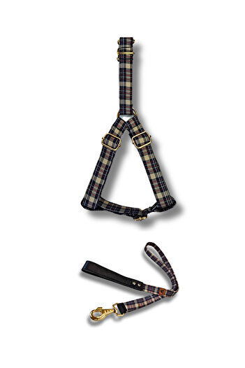 UTDpet Classy Dog Collar and Travel Dispatch Strap Set