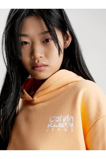 Calvin Klein Colorful Artwork Cropped Hoodıe