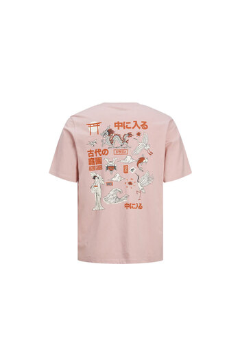 Jack & Jones Jorrecıpe Tee Ss Crew Neck Tg Ln