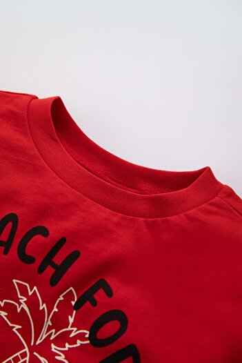 DeFacto Baby Boy Patterned Short Sleeve T-Shirt Z6951a223hs