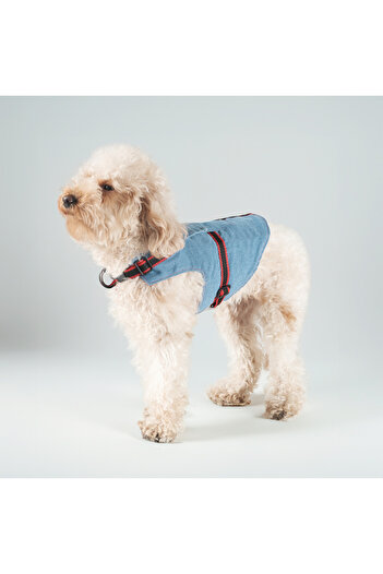 Patipatron Airtag Pocket Denim Dog Walking Collar - Anti-Escape