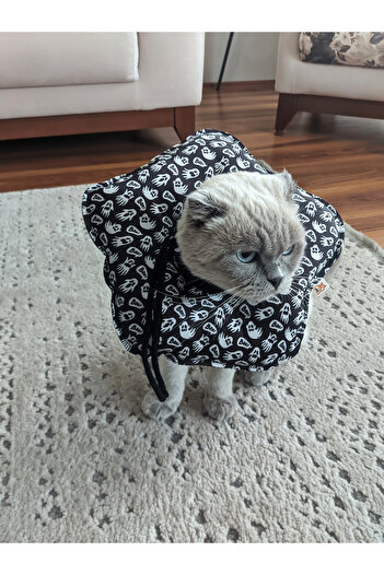 UTDpet Boo Patterned Cat and Dog Elizabeth Protective Collar