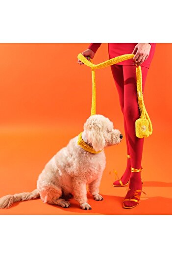 Bunico Yellow Teddy Dog Collar Set
