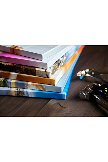 hayathome Woman Reading the Quran Modern Decorative Art Print