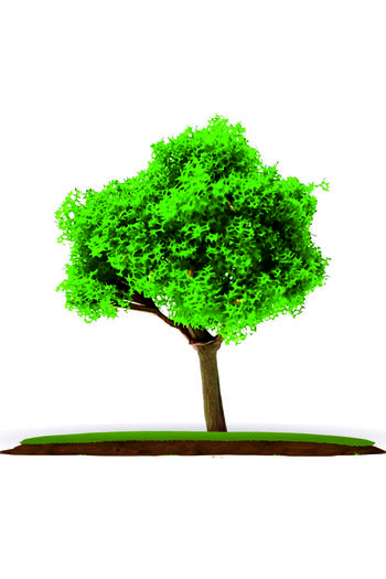 Dytac 2-Piece Model Tree 1:100 Scale 6.5 Cm (va54a-6.5)
